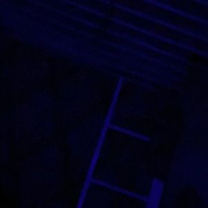 Meet your Posher, Cassidy